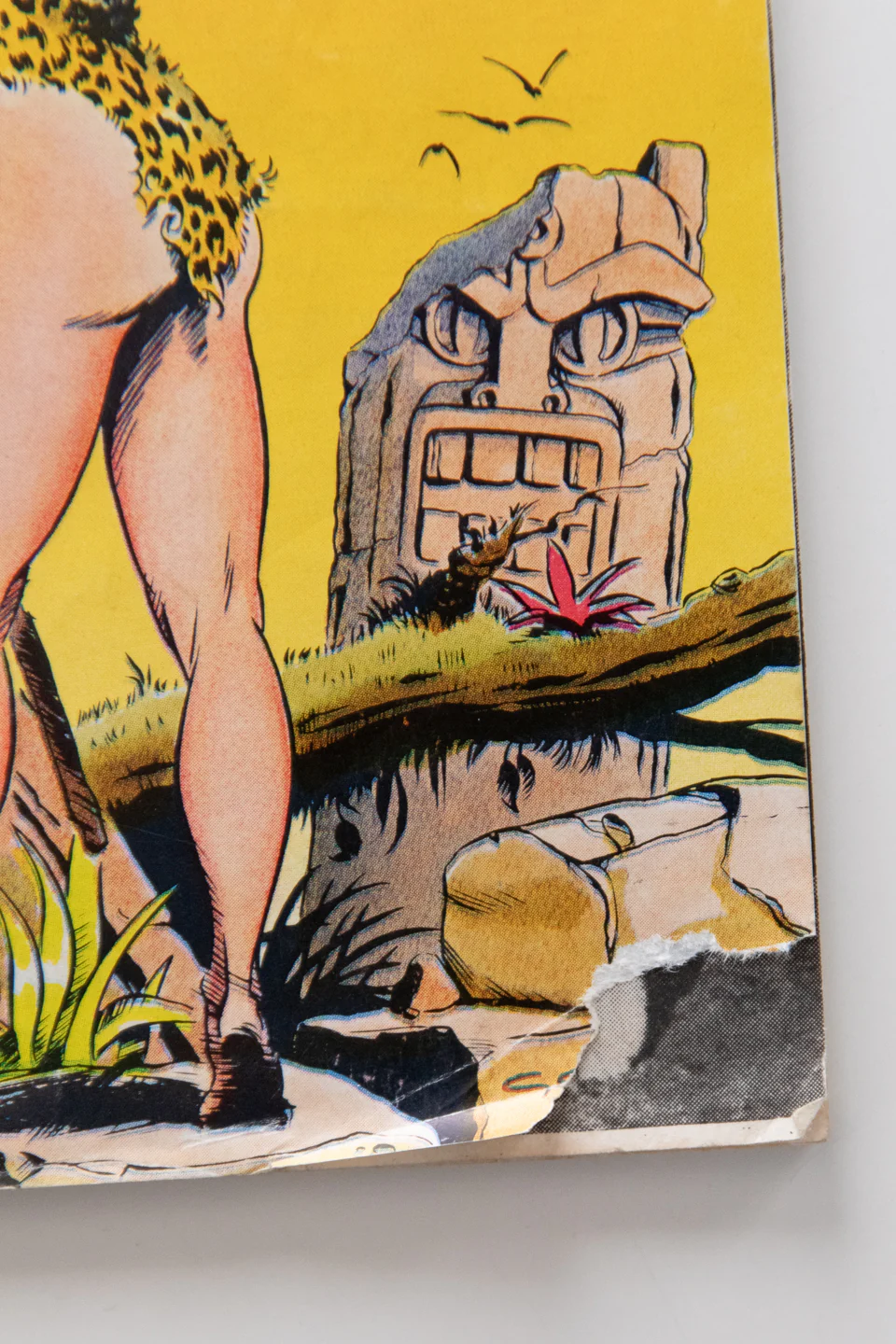 Thumbnail 2